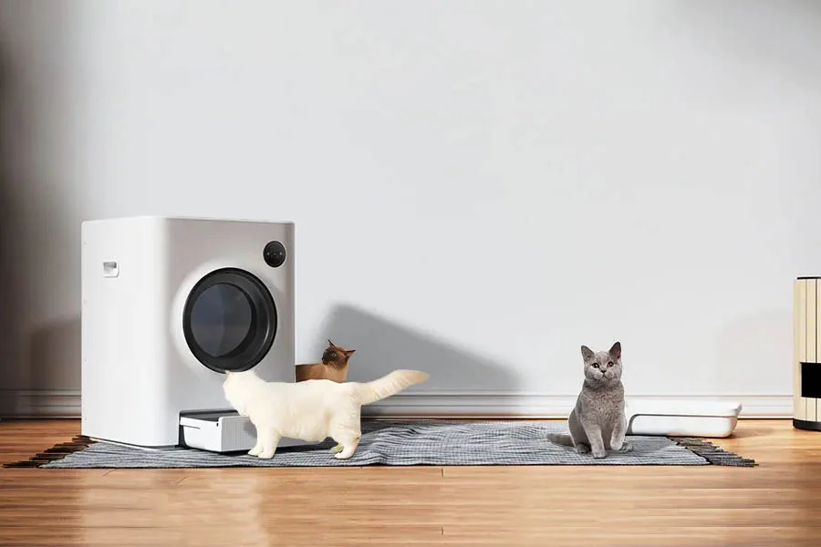 auto litter boxes for cats